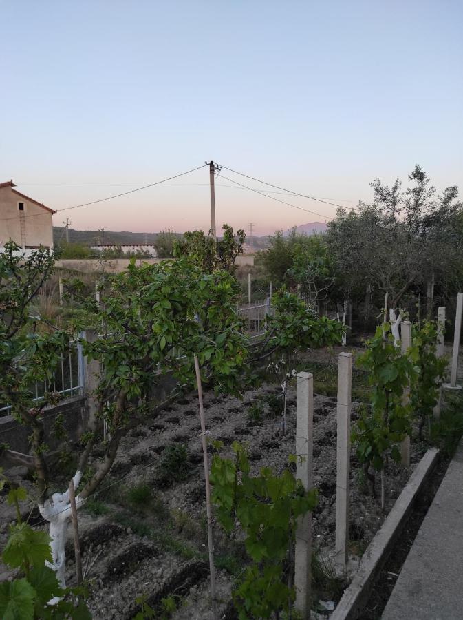 Alanthia Apartman Vlora Kültér fotó